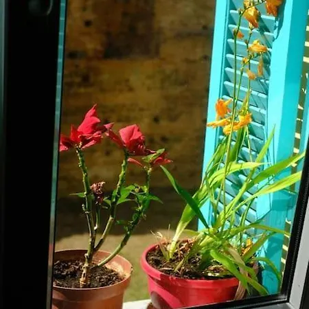 Casa De Pavel 아파트