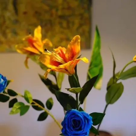 Casa De Pavel شقة